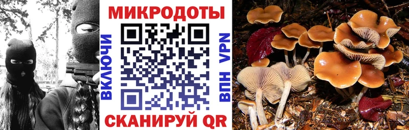 Галлюциногенные грибы Cubensis где купить наркоту Болгар